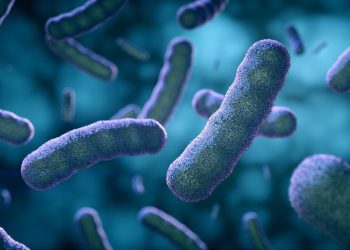 Japan burst! “Man-eating bacteria” spread wildly with a fatality rate of 30%!