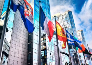 French Political Chessboard: A Tripartite Parliament and the Uncertain Economic Horizon