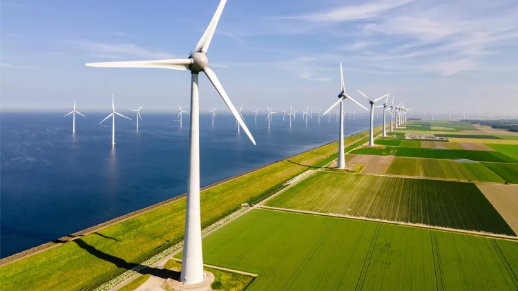 Green Transition: How Europe and America Are Shaping the Future of Clean Energy
