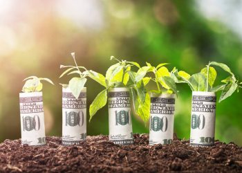 The Rise of Green Bonds: A Global Shift Toward Sustainable Finance