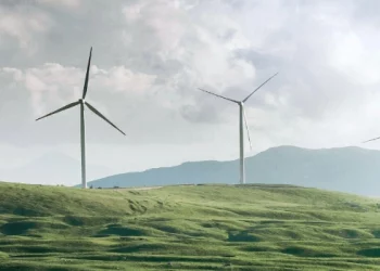Europe’s Role in Global Green Energy Transitions: An Expert Viewpoint