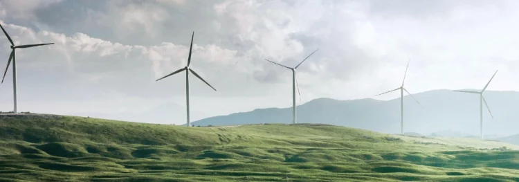 Europe’s Role in Global Green Energy Transitions: An Expert Viewpoint