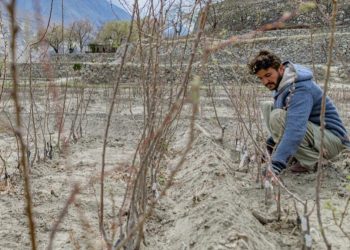 How Can Asia-Pacific Countries Tackle the Growing Impacts of Climate Change?
