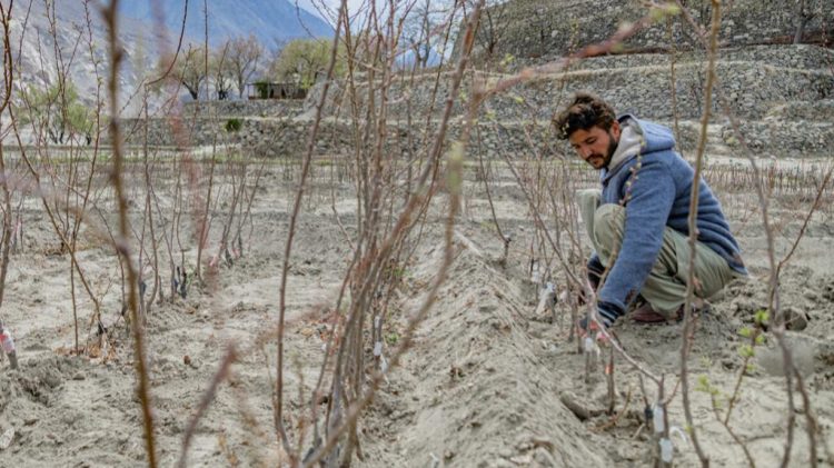 How Can Asia-Pacific Countries Tackle the Growing Impacts of Climate Change?