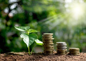 Can the Green Economy Transition Truly Drive Global Sustainable Development?