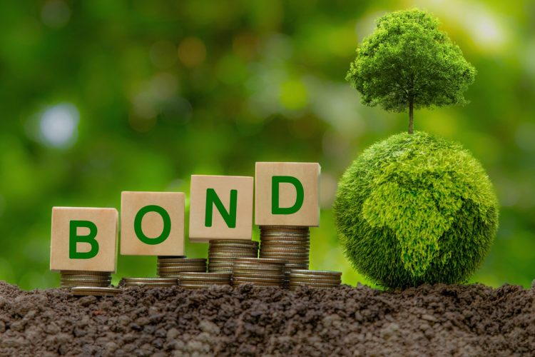 The Rise of Green Bonds: Are They the Future of Sustainable Finance?
