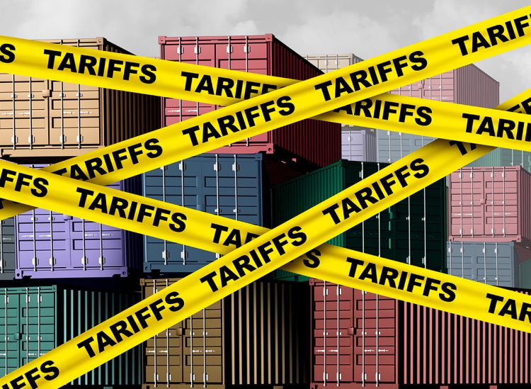 Soft Landing or Hard Truth? What’s Next for the Global Economy