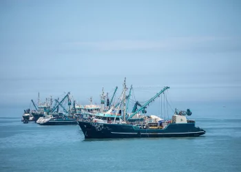 Did 2024 Satellite Shipping Data Reveal a Hidden Surge in Brazil’s Soy Exports Amid Global Credit Tightening?