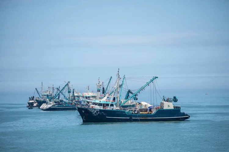 Did 2024 Satellite Shipping Data Reveal a Hidden Surge in Brazil’s Soy Exports Amid Global Credit Tightening?