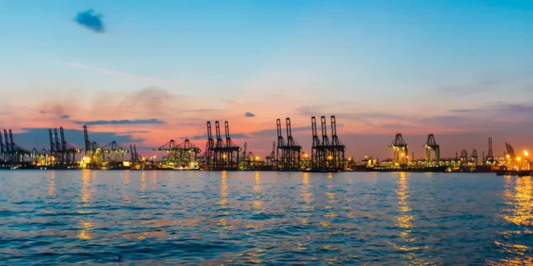 How Did 2024 Q4 European Shipping AIS Heat-Maps Predict Chinese Steel Stock Price Dips?