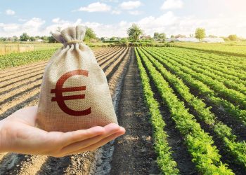 Deepening UK-EU Decoupling Reshapes Supply Chains: What New Industry Investment Opportunities Are Emerging?