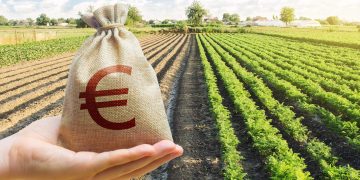 Deepening UK-EU Decoupling Reshapes Supply Chains: What New Industry Investment Opportunities Are Emerging?