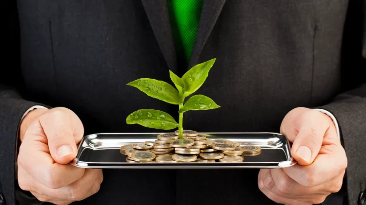 ESG Investing Wave: Long-Term Value or Emotion-Driven Illusion?